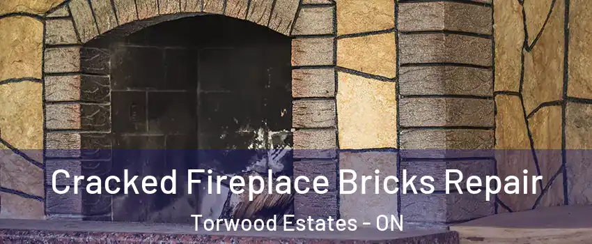  Cracked Fireplace Bricks Repair Torwood Estates - ON