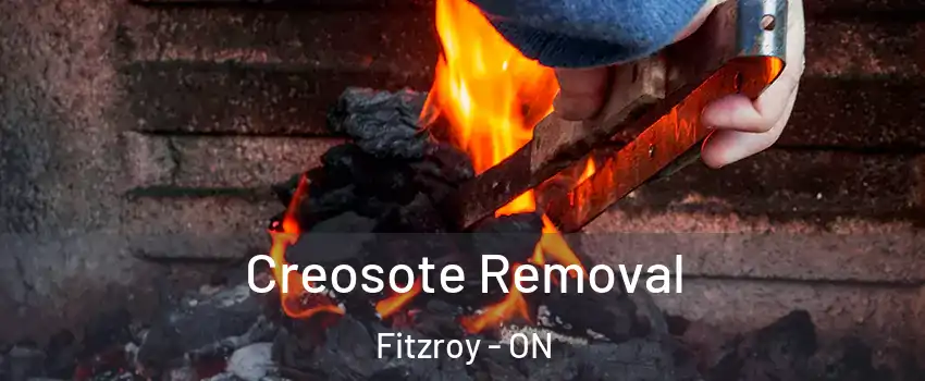  Creosote Removal Fitzroy - ON