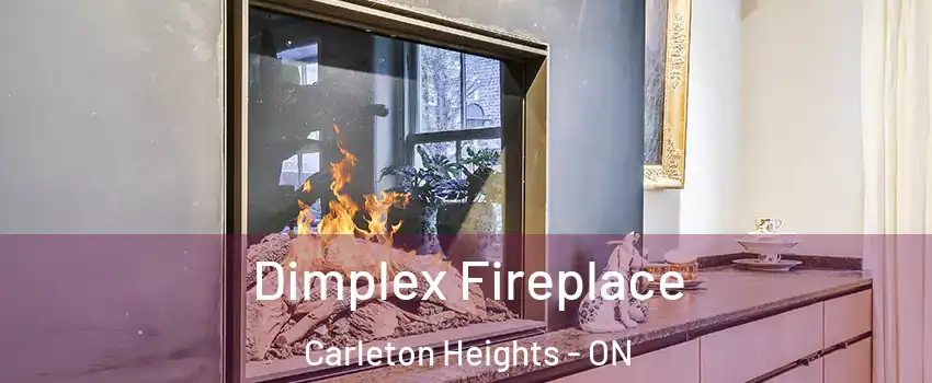  Dimplex Fireplace Carleton Heights - ON