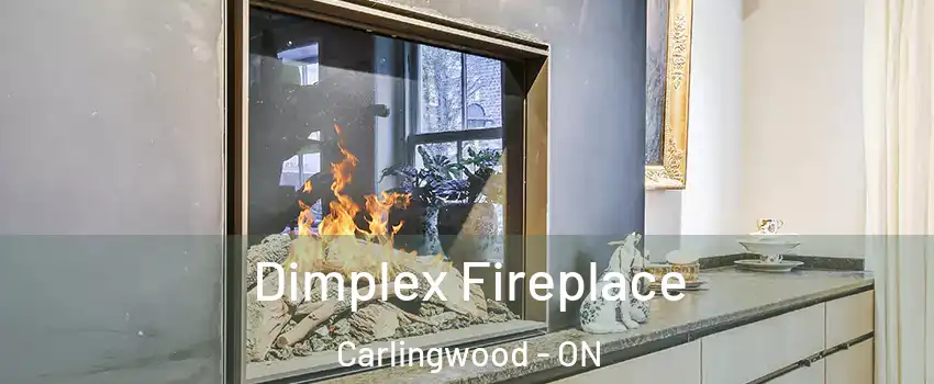  Dimplex Fireplace Carlingwood - ON