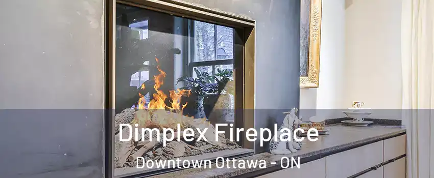  Dimplex Fireplace Downtown Ottawa - ON