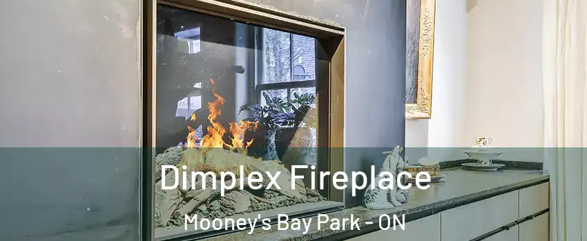  Dimplex Fireplace Mooney's Bay Park - ON