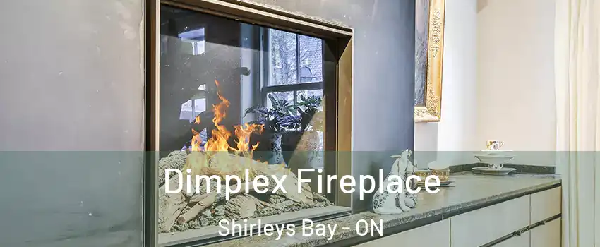  Dimplex Fireplace Shirleys Bay - ON