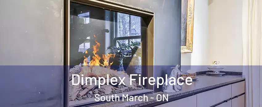  Dimplex Fireplace South March - ON