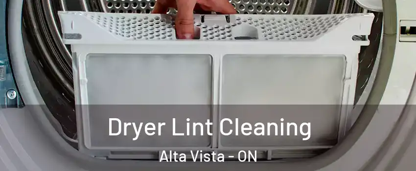  Dryer Lint Cleaning Alta Vista - ON