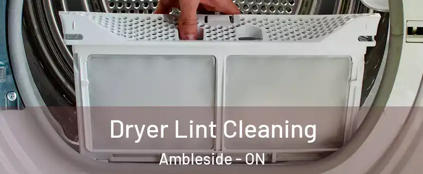  Dryer Lint Cleaning Ambleside - ON