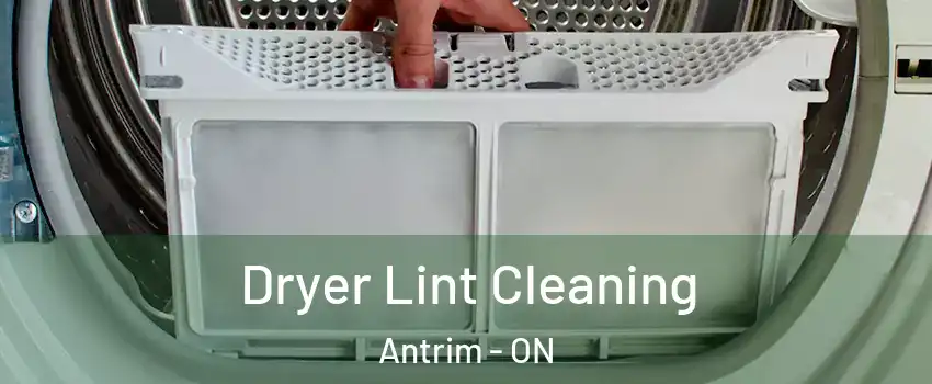  Dryer Lint Cleaning Antrim - ON