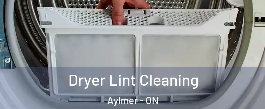  Dryer Lint Cleaning Aylmer - ON