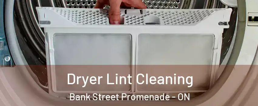  Dryer Lint Cleaning Bank Street Promenade - ON