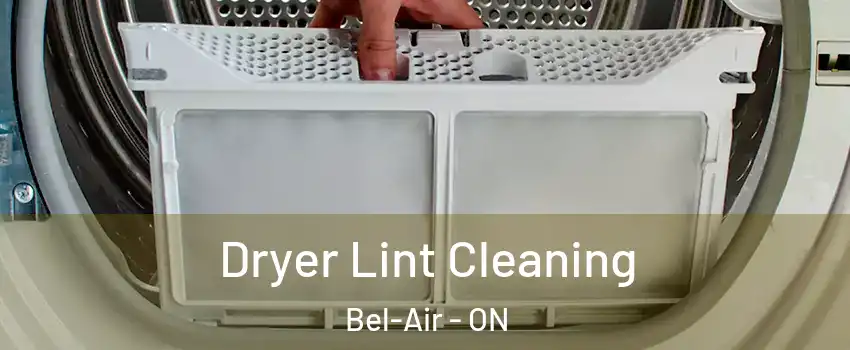  Dryer Lint Cleaning Bel-Air - ON