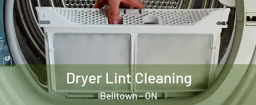  Dryer Lint Cleaning Belltown - ON