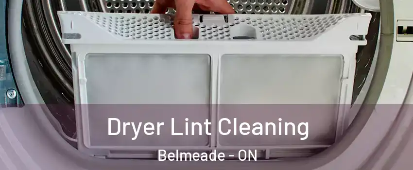  Dryer Lint Cleaning Belmeade - ON