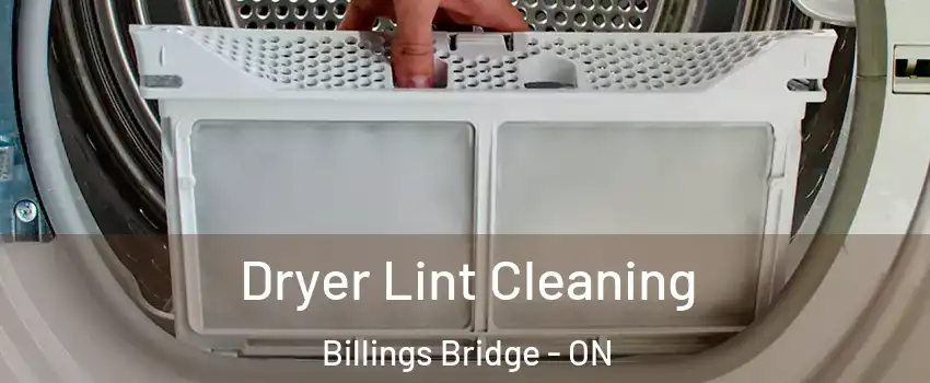  Dryer Lint Cleaning Billings Bridge - ON