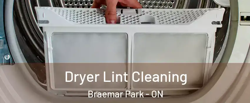  Dryer Lint Cleaning Braemar Park - ON