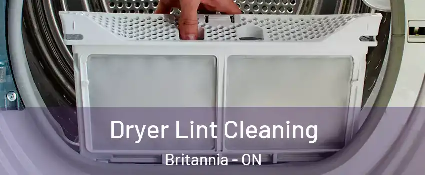  Dryer Lint Cleaning Britannia - ON