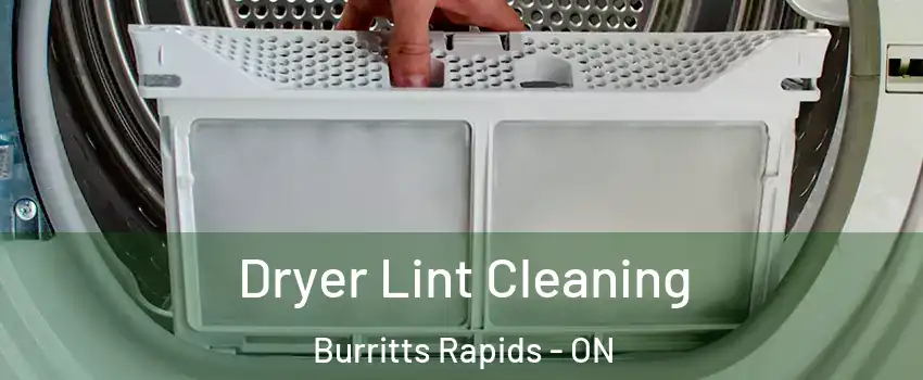  Dryer Lint Cleaning Burritts Rapids - ON