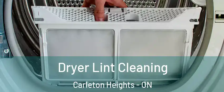  Dryer Lint Cleaning Carleton Heights - ON