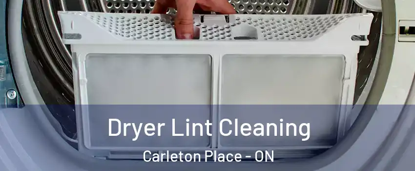  Dryer Lint Cleaning Carleton Place - ON