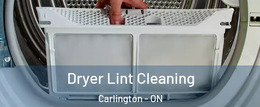  Dryer Lint Cleaning Carlington - ON