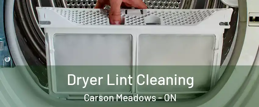  Dryer Lint Cleaning Carson Meadows - ON