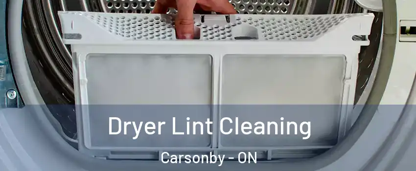  Dryer Lint Cleaning Carsonby - ON