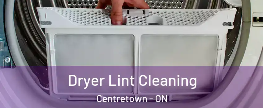  Dryer Lint Cleaning Centretown - ON