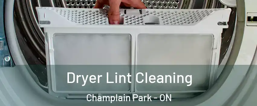  Dryer Lint Cleaning Champlain Park - ON