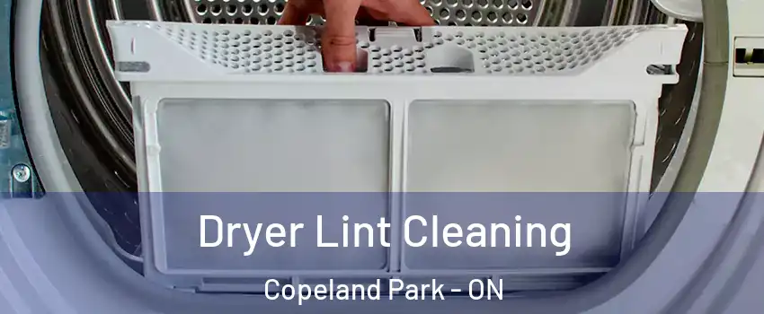  Dryer Lint Cleaning Copeland Park - ON