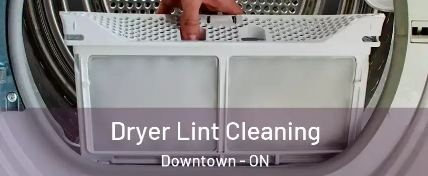  Dryer Lint Cleaning Downtown - ON