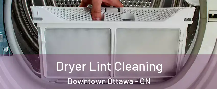  Dryer Lint Cleaning Downtown Ottawa - ON