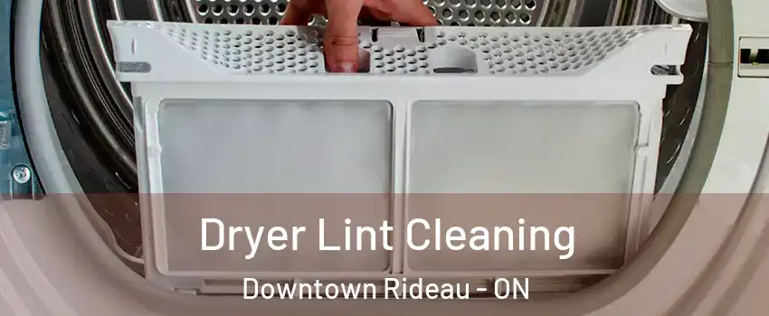  Dryer Lint Cleaning Downtown Rideau - ON