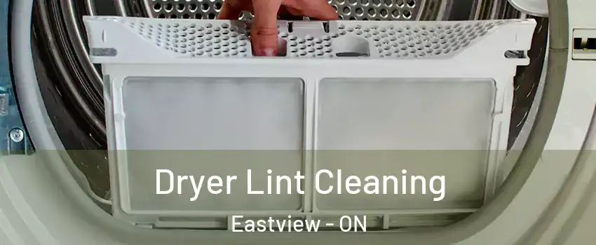  Dryer Lint Cleaning Eastview - ON