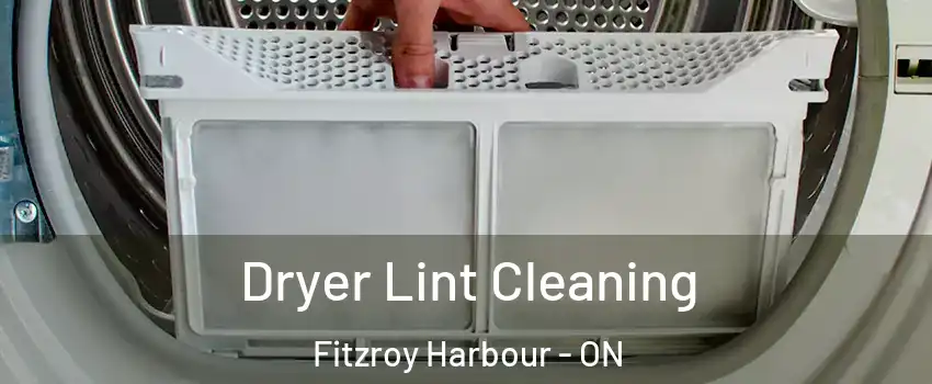  Dryer Lint Cleaning Fitzroy Harbour - ON