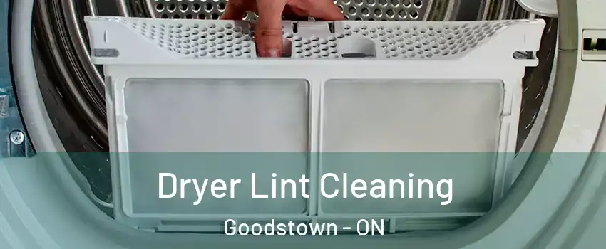  Dryer Lint Cleaning Goodstown - ON