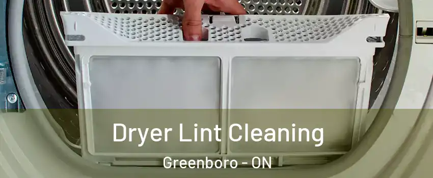  Dryer Lint Cleaning Greenboro - ON