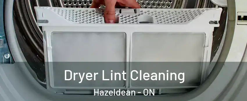  Dryer Lint Cleaning Hazeldean - ON