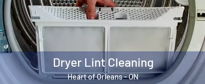  Dryer Lint Cleaning Heart of Orleans - ON