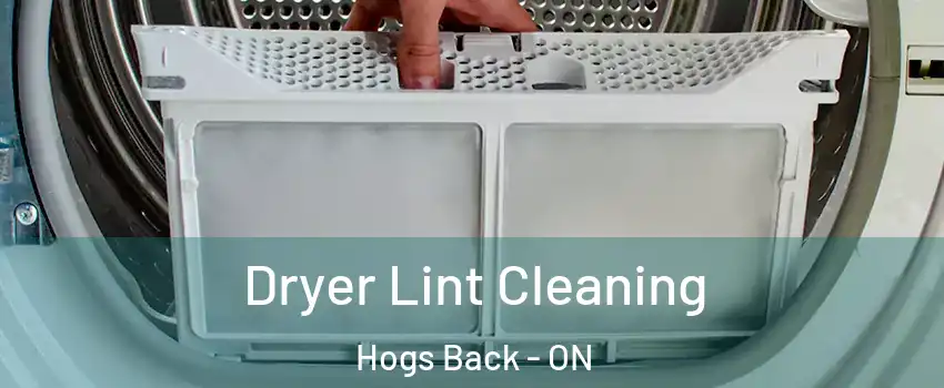  Dryer Lint Cleaning Hogs Back - ON