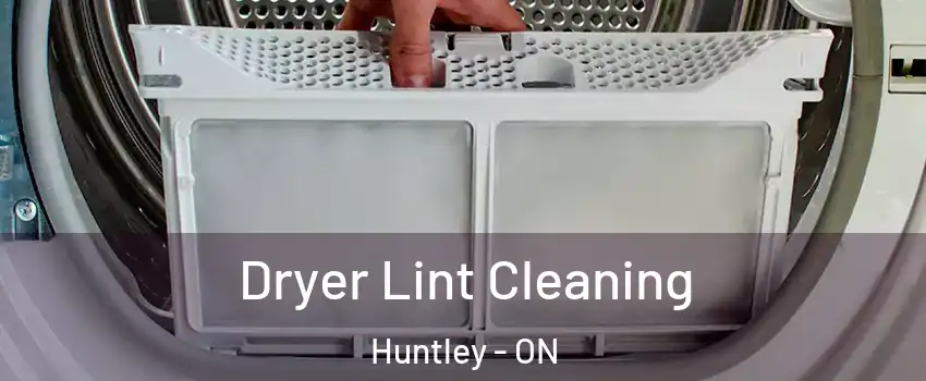  Dryer Lint Cleaning Huntley - ON