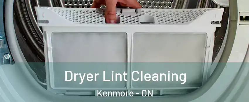  Dryer Lint Cleaning Kenmore - ON