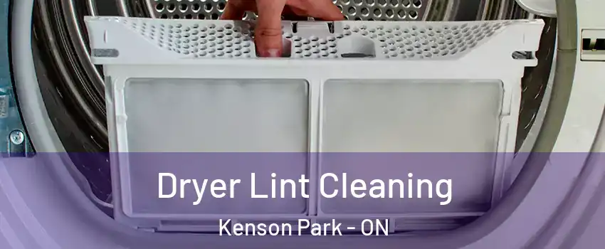  Dryer Lint Cleaning Kenson Park - ON