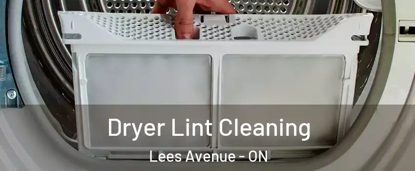  Dryer Lint Cleaning Lees Avenue - ON