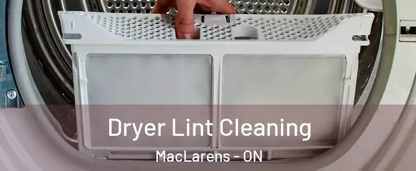  Dryer Lint Cleaning MacLarens - ON