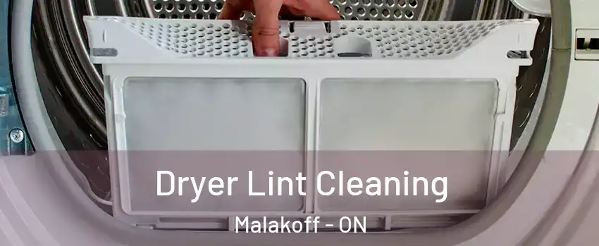  Dryer Lint Cleaning Malakoff - ON