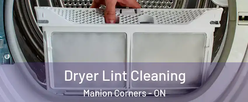  Dryer Lint Cleaning Manion Corners - ON