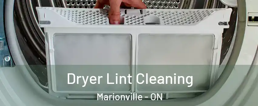  Dryer Lint Cleaning Marionville - ON