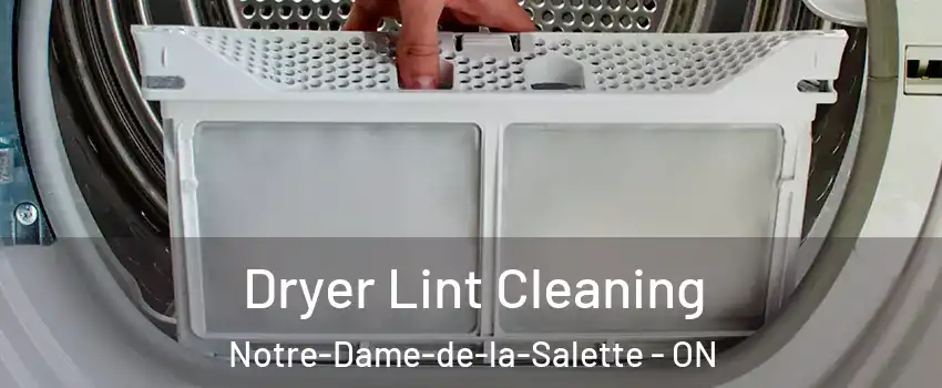  Dryer Lint Cleaning Notre-Dame-de-la-Salette - ON