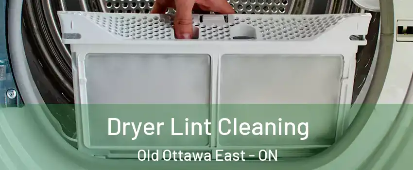  Dryer Lint Cleaning Old Ottawa East - ON