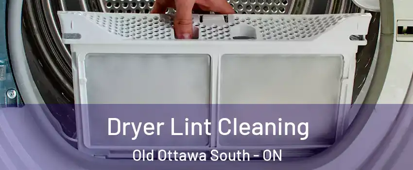  Dryer Lint Cleaning Old Ottawa South - ON