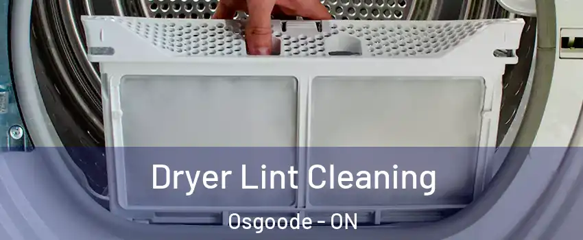  Dryer Lint Cleaning Osgoode - ON